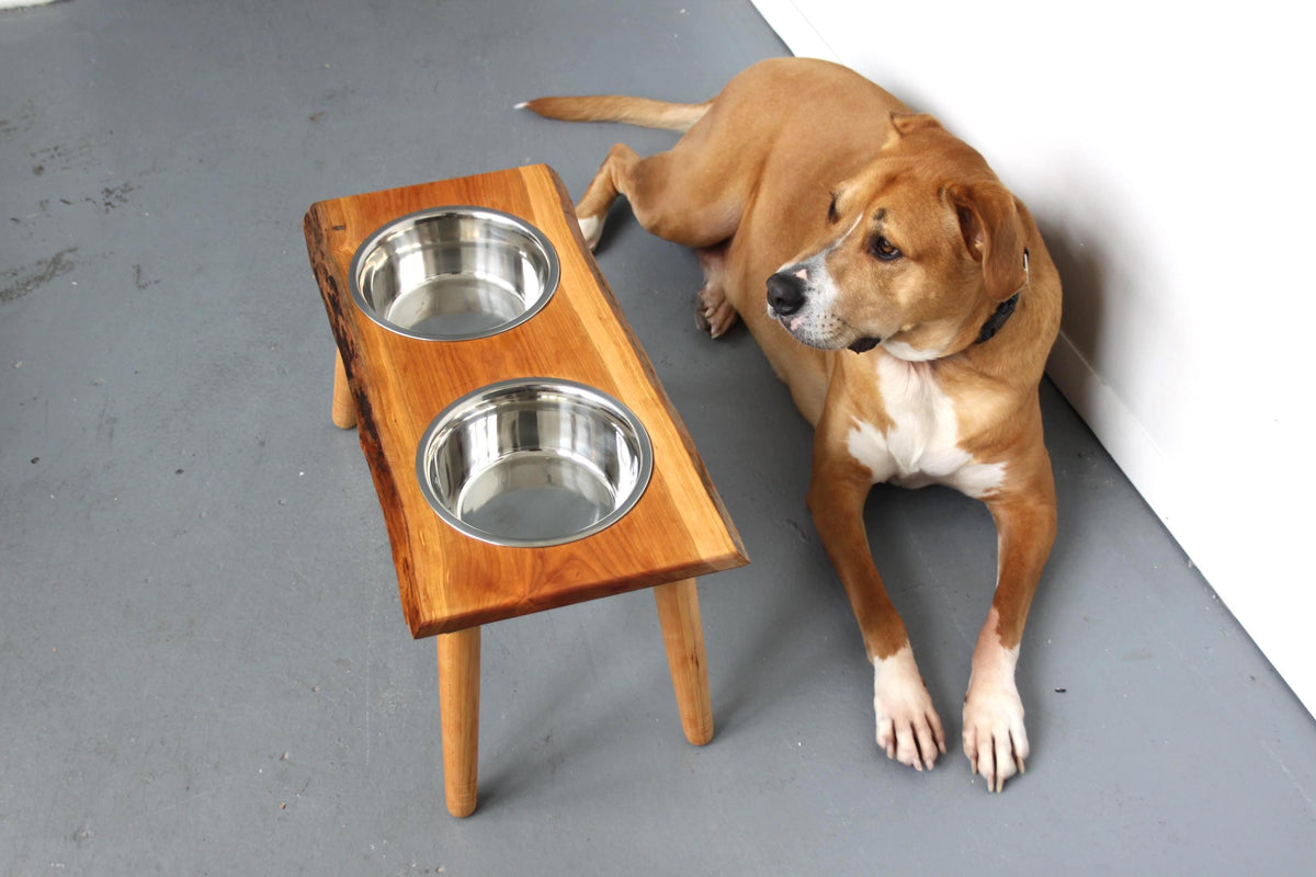 Live Edge Dog Food Stand