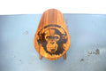 Monkey with Headphones 3-Leg Coffee Table